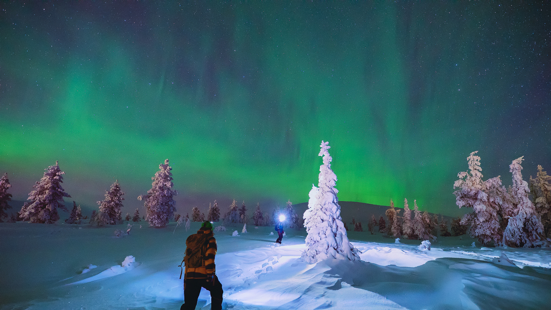 Schneeschuhwanderung unter dem Polarlicht